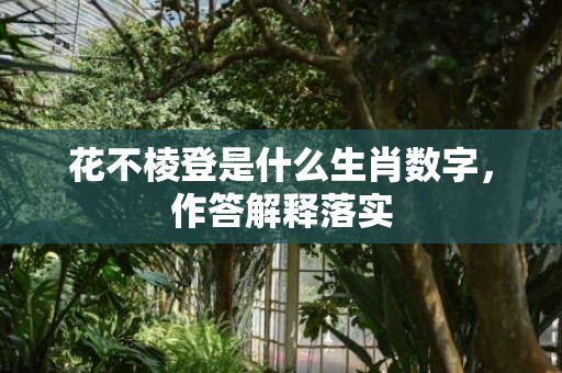 花不棱登是什么生肖数字，作答解释落实
