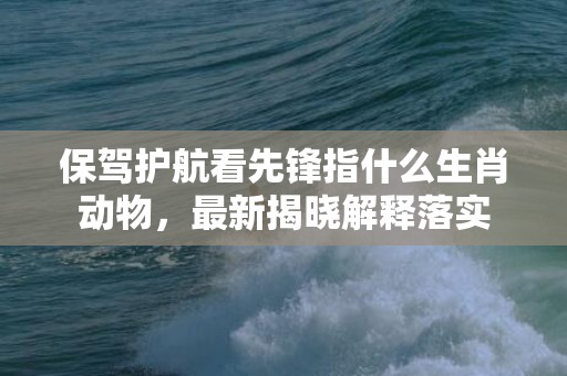 保驾护航看先锋指什么生肖动物，最新揭晓解释落实