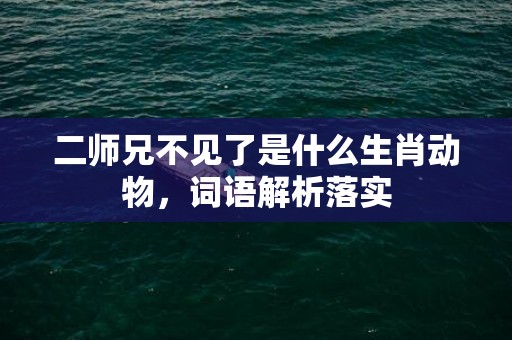 二师兄不见了是什么生肖动物，词语解析落实