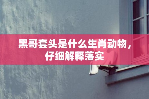 黑哥套头是什么生肖动物，仔细解释落实