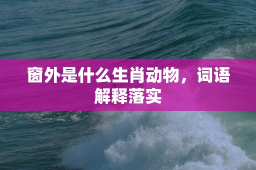 窗外是什么生肖动物，词语解释落实