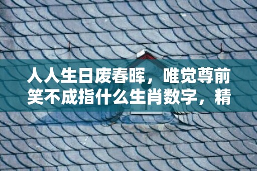 人人生日废春晖，唯觉尊前笑不成指什么生肖数字，精选解释落实