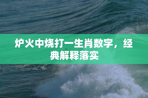 炉火中烧打一生肖数字，经典解释落实