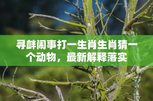 寻衅闹事打一生肖生肖猜一个动物，最新解释落实