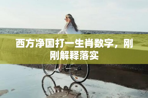 西方净国打一生肖数字，刚刚解释落实