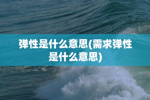 弹性是什么意思(需求弹性是什么意思)