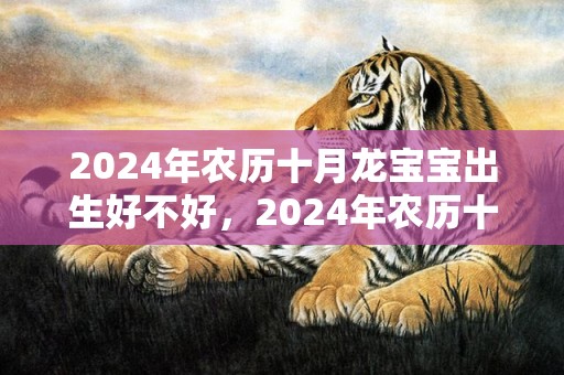 2024年农历十月龙宝宝出生好不好，2024年农历十二月初八适不适合搬新家