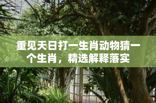 重见天日打一生肖动物猜一个生肖，精选解释落实