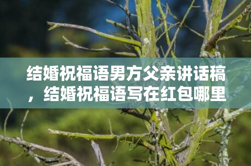 结婚祝福语男方父亲讲话稿，结婚祝福语写在红包哪里
