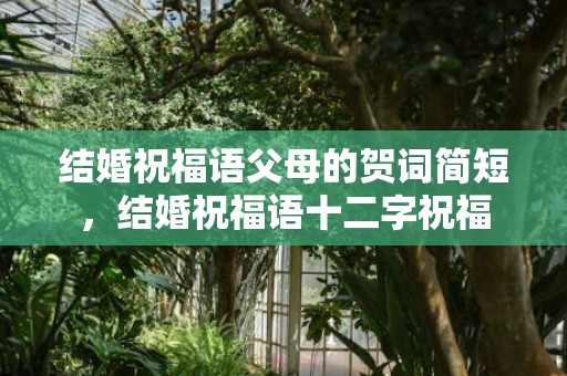 结婚祝福语父母的贺词简短，结婚祝福语十二字祝福