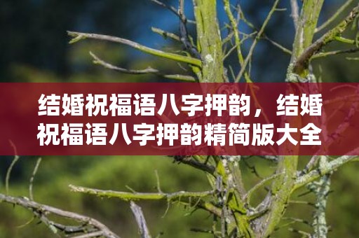 结婚祝福语八字押韵，结婚祝福语八字押韵精简版大全？祝福语四字