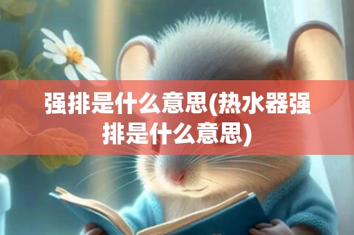 强排是什么意思(热水器强排是什么意思)