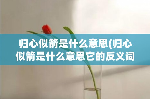 归心似箭是什么意思(归心似箭是什么意思它的反义词是什么)