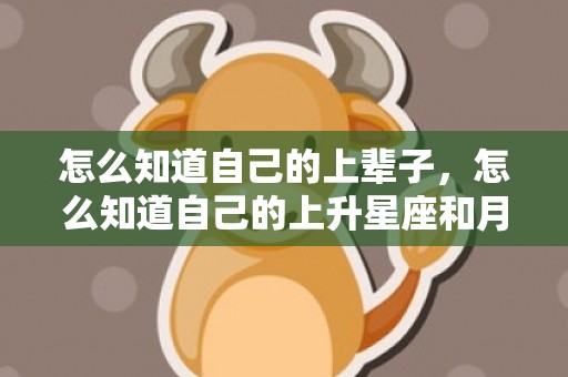 怎么知道自己的上辈子，怎么知道自己的上升星座和月亮星座