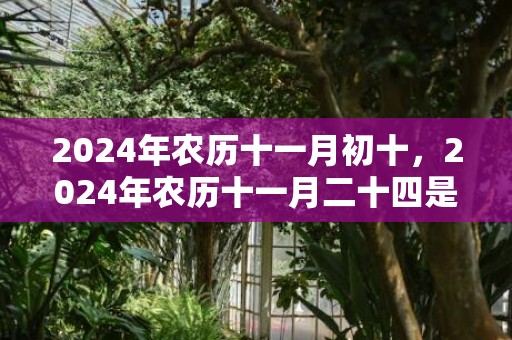 2024年农历十一月初十，2024年农历十一月二十四是不是黄道吉日