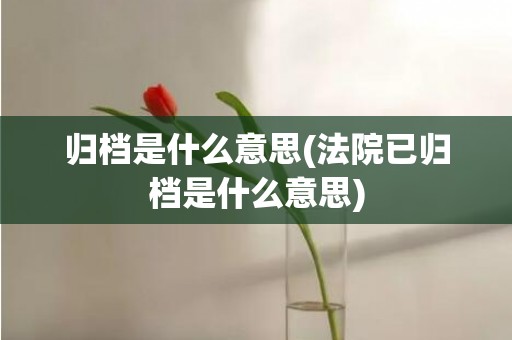 归档是什么意思(法院已归档是什么意思)