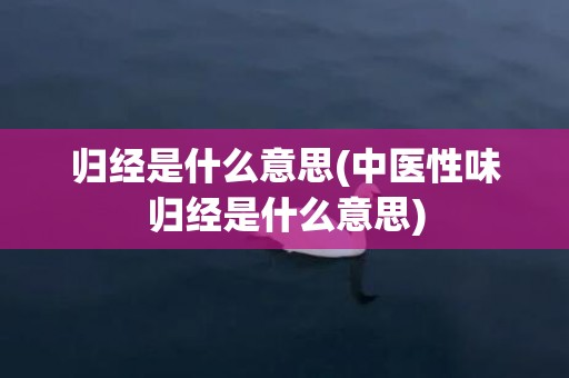 归经是什么意思(中医性味归经是什么意思)