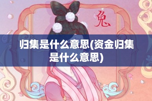 归集是什么意思(资金归集是什么意思)