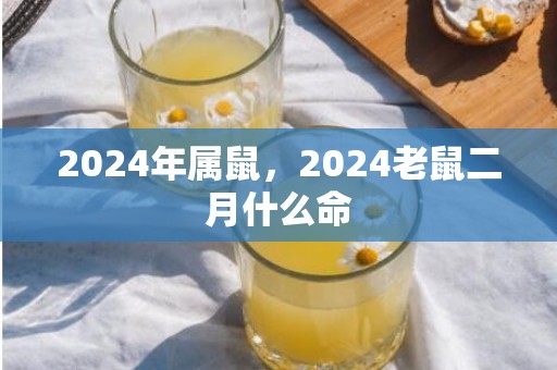 2024年属鼠，2024老鼠二月什么命
