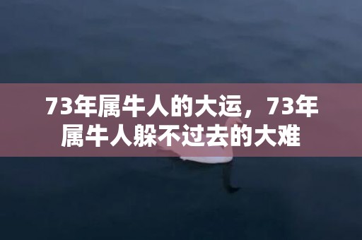 73年属牛人的大运，73年属牛人躲不过去的大难