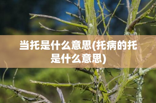 当托是什么意思(托病的托是什么意思)