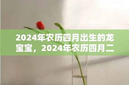2024年农历四月出生的龙宝宝，2024年农历四月二十出生的男孩八字算命