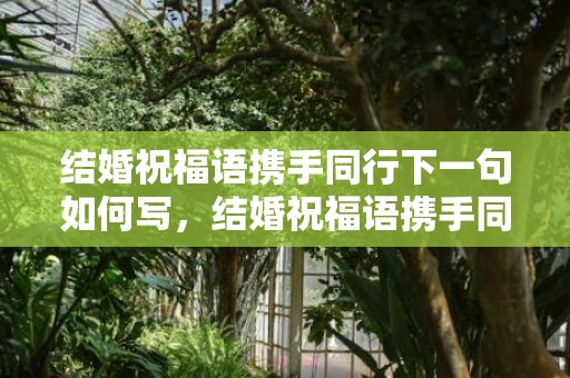 结婚祝福语携手同行下一句如何写，结婚祝福语携手同行的话