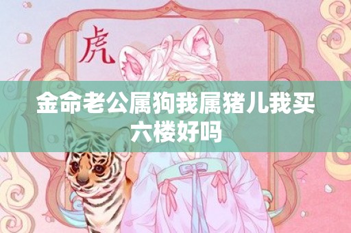 金命老公属狗我属猪儿我买六楼好吗
