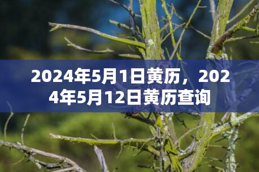 2024年5月1日黄历，2024年5月12日黄历查询