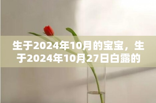 生于2024年10月的宝宝，生于2024年10月27日白露的女宝宝好吗