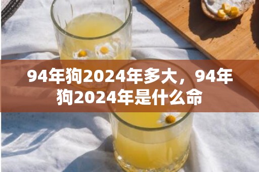 94年狗2024年多大，94年狗2024年是什么命