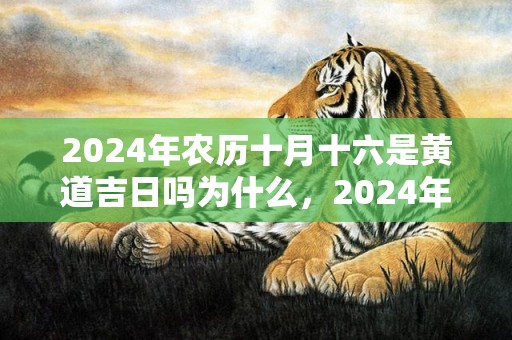 2024年农历十月十六是黄道吉日吗为什么，2024年农历十二月十九出生的男孩是什么命