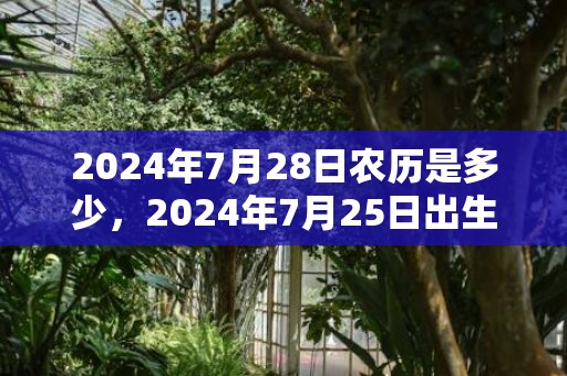2024年7月28日农历是多少，2024年7月25日出生的女宝宝适合哪些名字