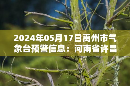 2024年05月17日禹州市气象台预警信息：河南省许昌市禹州市发布高温橙色预警
