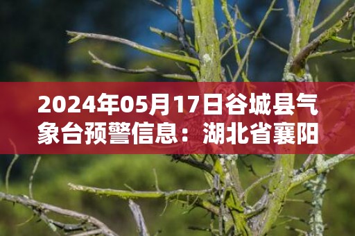2024年05月17日谷城县气象台预警信息：湖北省襄阳市谷城县发布高温橙色预警