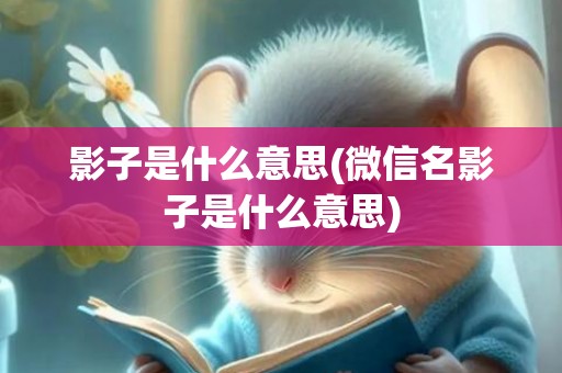 影子是什么意思(微信名影子是什么意思)