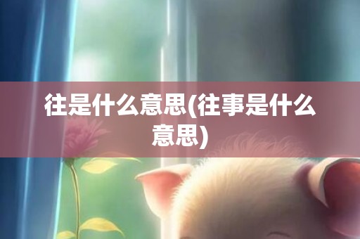 往是什么意思(往事是什么意思)