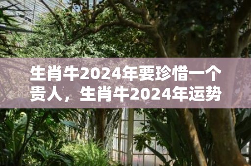 生肖牛2024年要珍惜一个贵人，生肖牛2024年运势大全1985