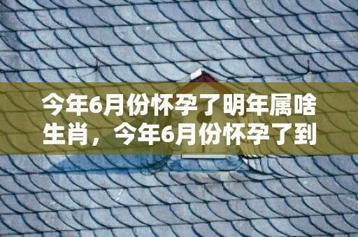 今年6月份怀孕了明年属啥生肖，今年6月份怀孕了到明年什么时候生
