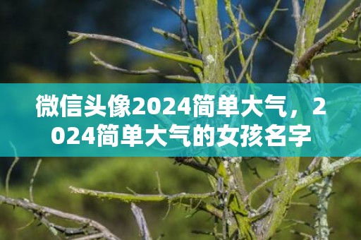 微信头像2024简单大气，2024简单大气的女孩名字