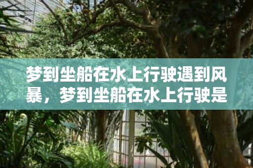 梦到坐船在水上行驶遇到风暴，梦到坐船在水上行驶是什么意思