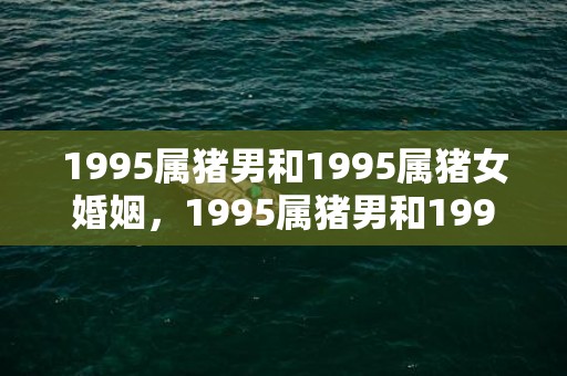 1995属猪男和1995属猪女婚姻，1995属猪男和1996属鼠女婚姻