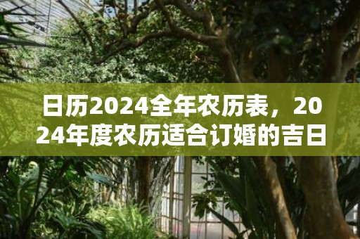日历2024全年农历表，2024年度农历适合订婚的吉日都有哪些