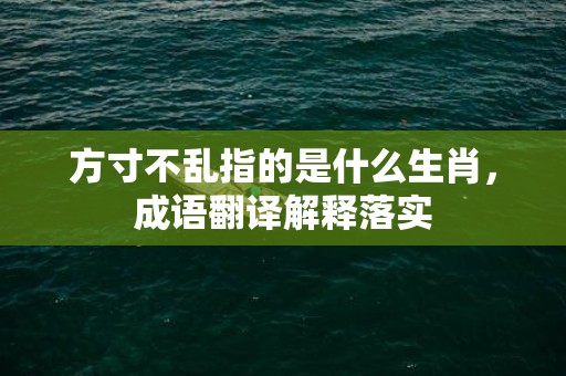 方寸不乱指的是什么生肖，成语翻译解释落实插图