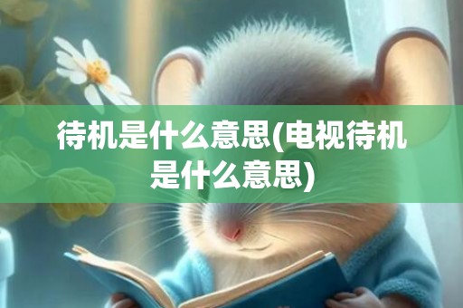 待机是什么意思(电视待机是什么意思)