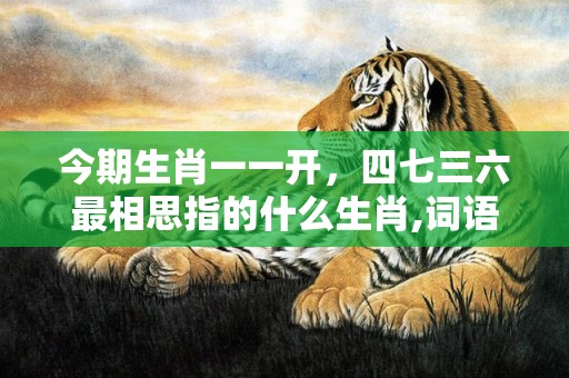 今期生肖一一开，四七三六最相思指的什么生肖,词语解释落实