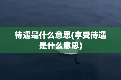 待遇是什么意思(享受待遇是什么意思)