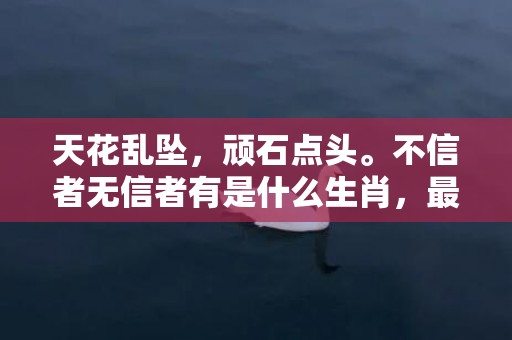 天花乱坠，顽石点头。不信者无信者有是什么生肖，最佳答案落实插图