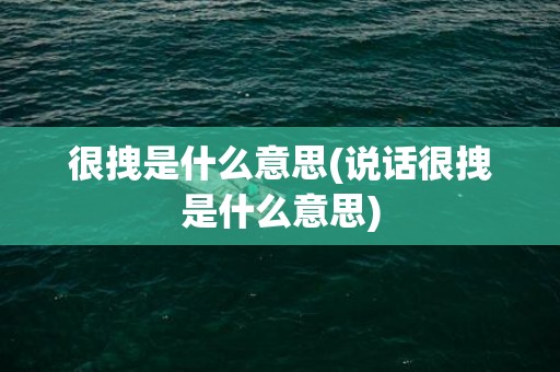 很拽是什么意思(说话很拽是什么意思)