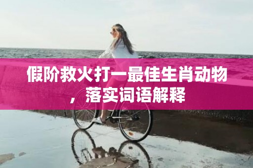 假阶救火打一最佳生肖动物，落实词语解释插图